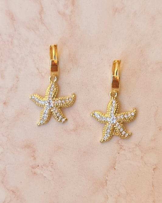 Gold Plated Earrings
